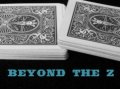 Beyond the Z by Steve Reynold